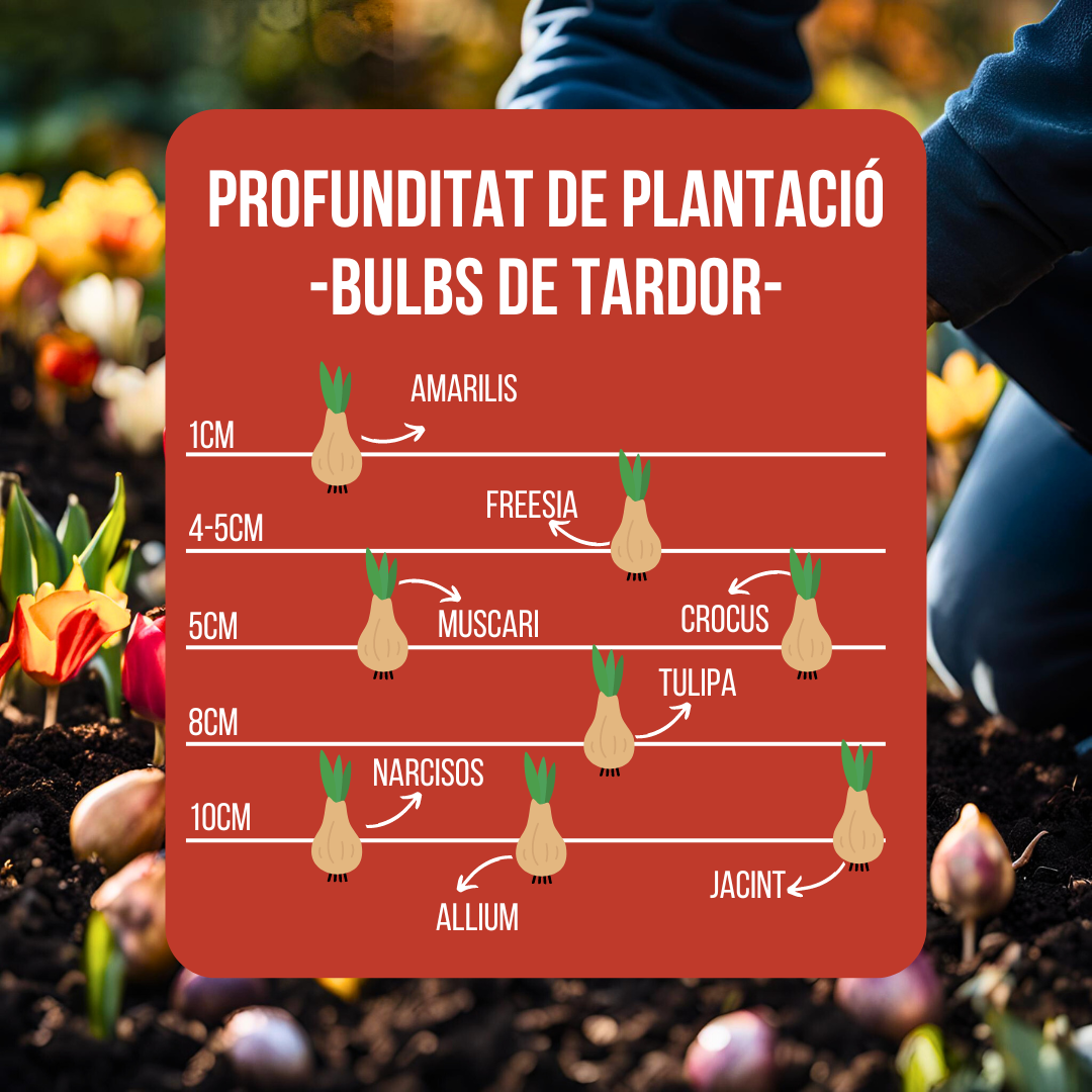 El secret de la primavera comença a la tardor